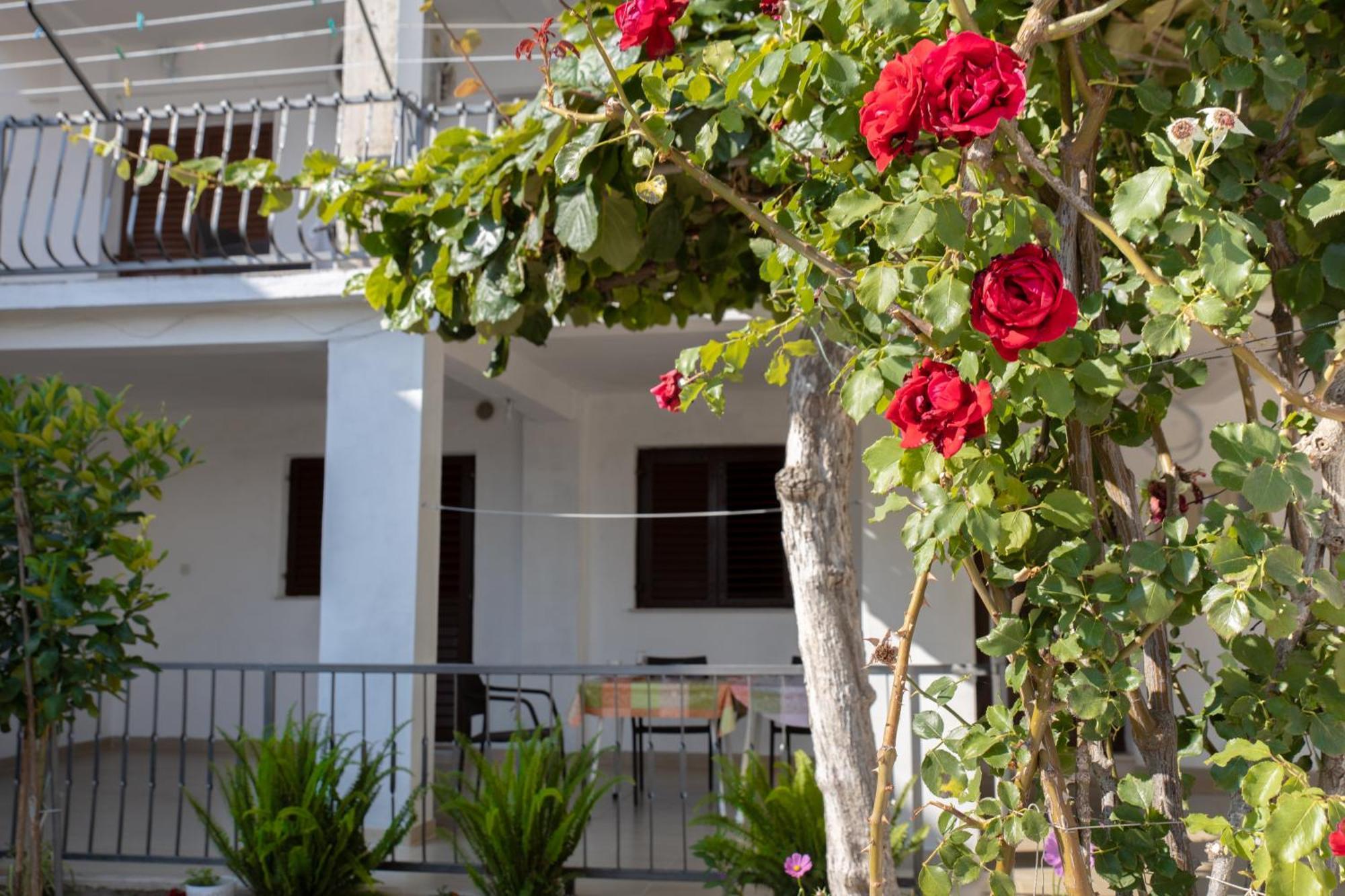 Apartments Latkovic Zaostrog Dış mekan fotoğraf