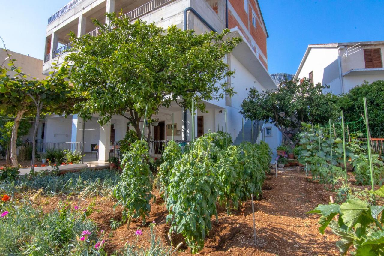 Apartments Latkovic Zaostrog Dış mekan fotoğraf
