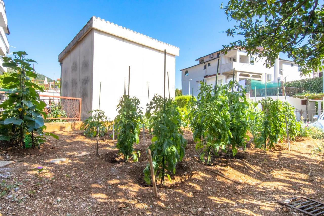 Apartments Latkovic Zaostrog Dış mekan fotoğraf